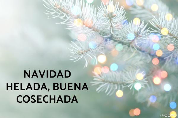 Refranes de Navidad: lista de los más populares - Refranes de Navidad relacionados con la meteorología