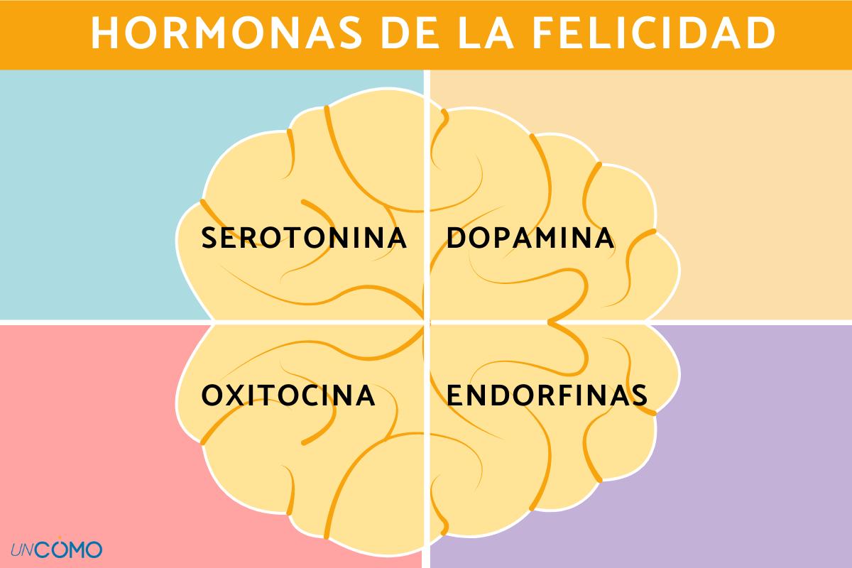 Hormona de la felicidad: cuál es y cómo activarla