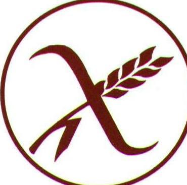 Síntomas extradigestivos de la enfermedad celíaca