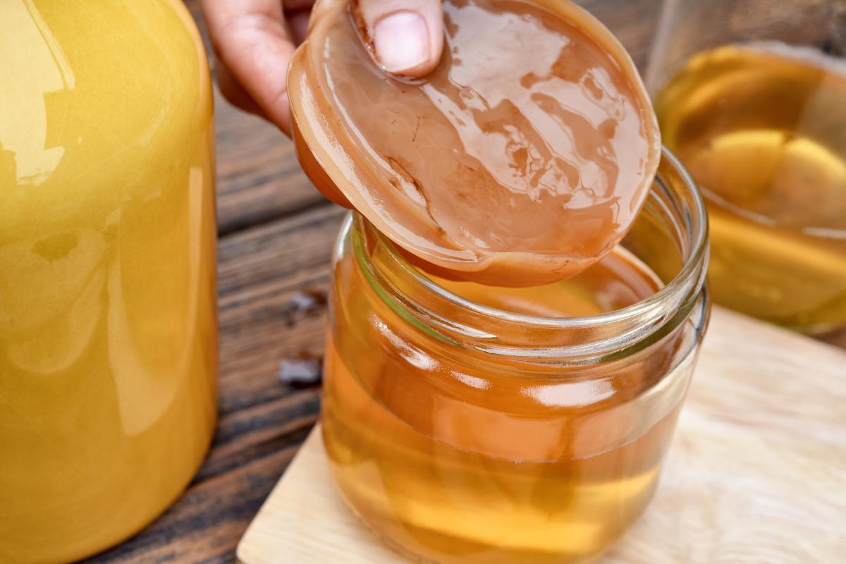 Té de kombucha: propiedades y cómo hacerlo