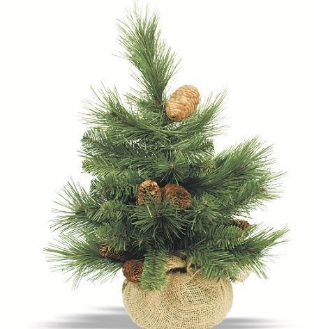 Cómo decorar una oficina con un árbol de Navidad - Paso 1