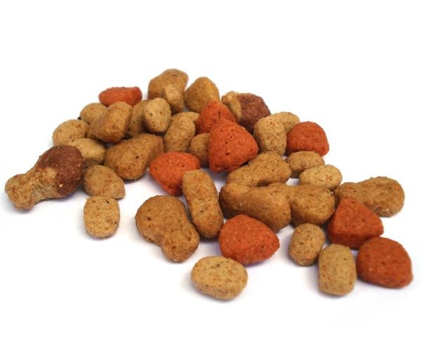 Cómo elegir la comida de mi gato