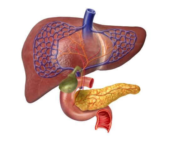 Cómo tratar la inflamación de la vesícula biliar