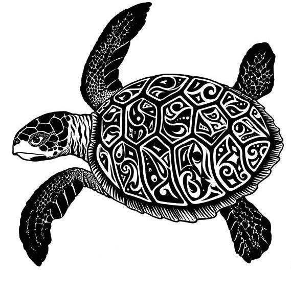 Cómo dibujar una tortuga
