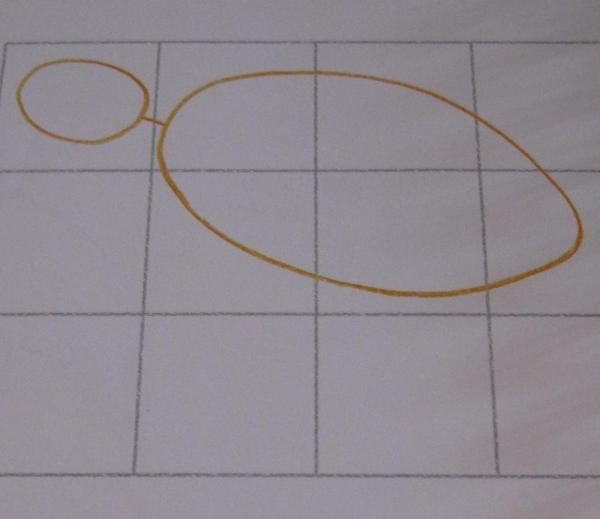 Cómo dibujar una tortuga - Paso 1