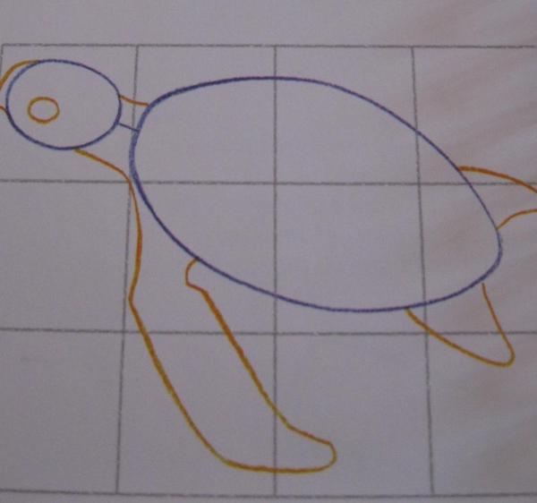 Cómo dibujar una tortuga - Paso 2
