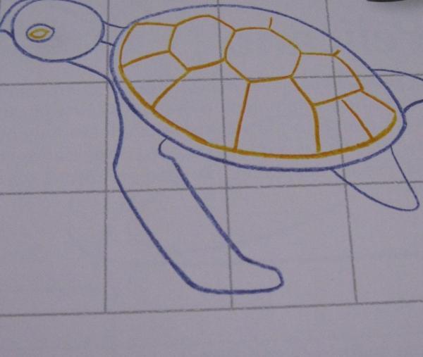 Cómo dibujar una tortuga - Paso 3