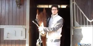 Cómo poner la cabezada al caballo