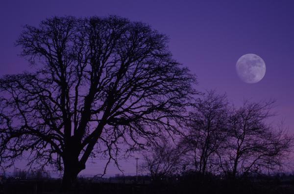 Cómo es el calendario lunar - Fases lunares marzo 2026