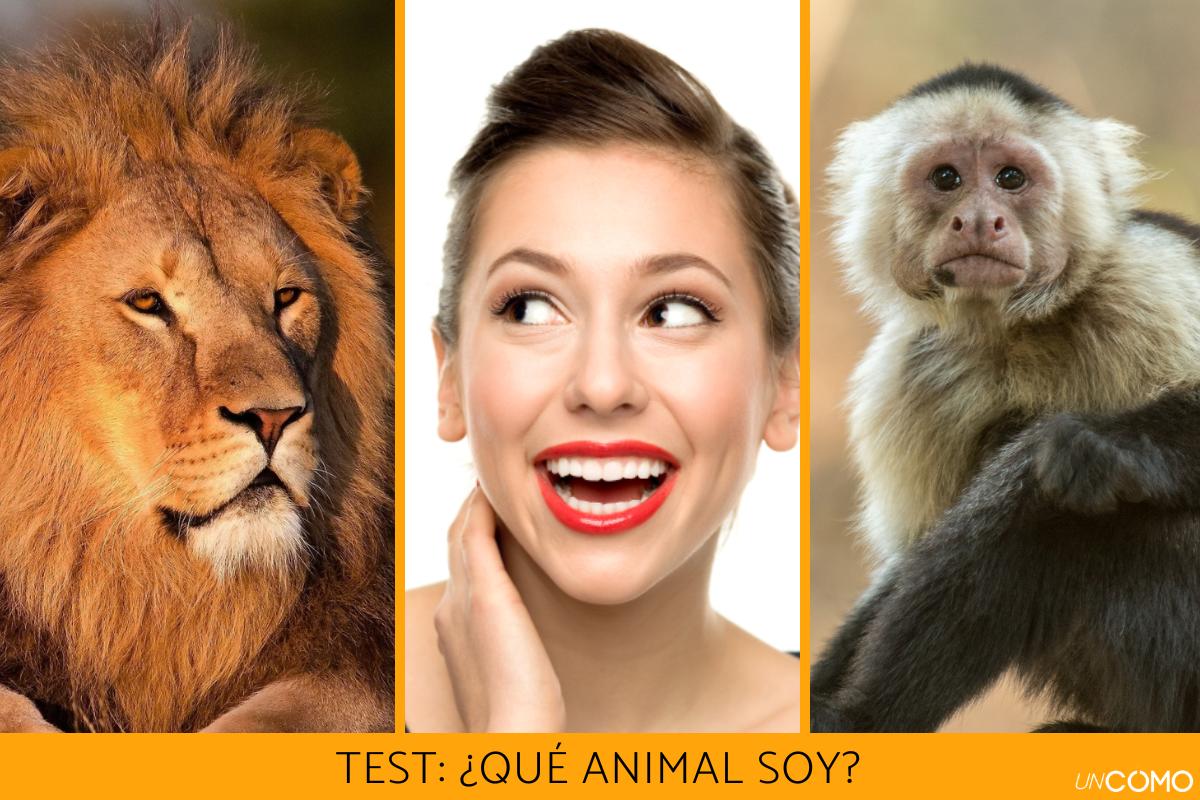 Test ¿Qué animal soy según mi personalidad?
