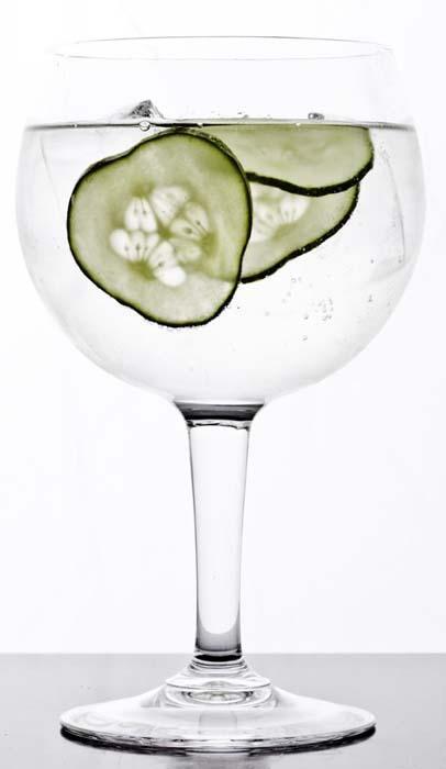 Cómo preparar un Gin Tonic