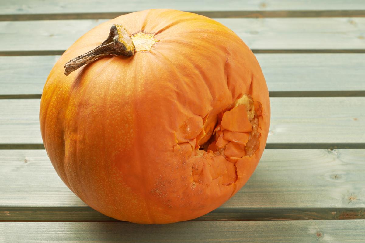 Cómo saber si la calabaza está mala