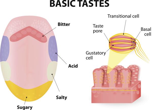 Causas del picor en la lengua - Por qué tengo picores en la lengua 