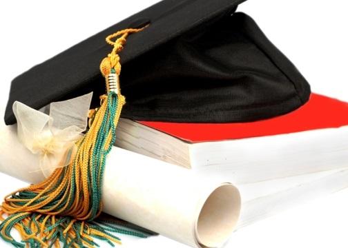 Cómo son las becas parciales