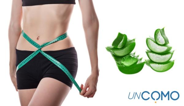 Beneficios de tomar aloe vera en ayunas - La sábila en ayunas ayuda a perder peso