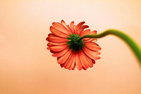 Trucos para sacar buenas fotos - Encuentra otros puntos de vista