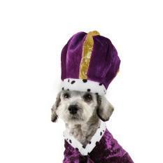 Cómo hacer una corona para mi mascota