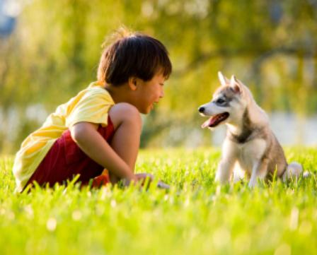 Cuándo puedo pasear a mi cachorro - Paso 4