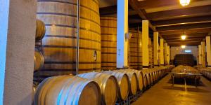 Cómo elegir una nave o bodega para tu tienda en línea: claves para optimizar la última milla