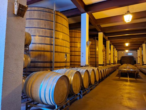 Cómo elegir una nave o bodega para tu tienda en línea: claves para optimizar la última milla