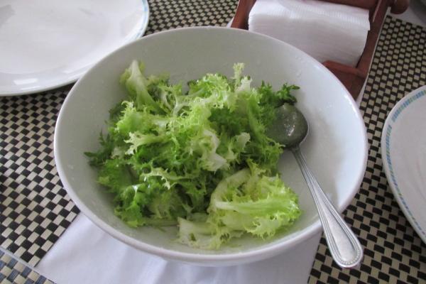 Propiedades de la achicoria - Características de la achicoria