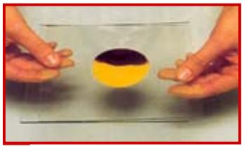 Cómo hacer estampados para telas - Paso 2