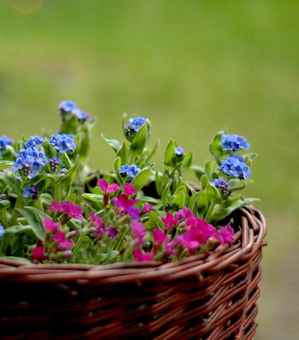 Cómo decorar un patio con flores - Paso 2