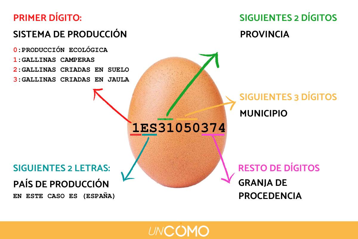 Cómo leer el código de los huevos