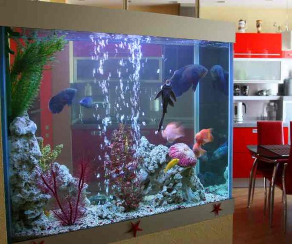 Cada cuánto cambiar el agua del acuario