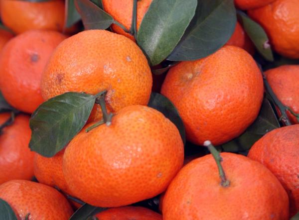 Cómo elegir las mandarinas