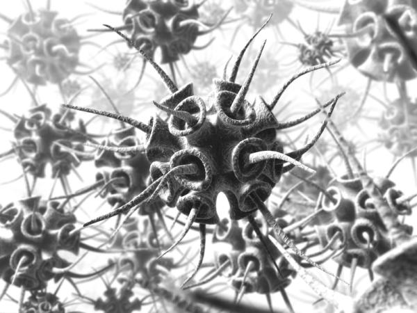 Cómo tratar el ántrax