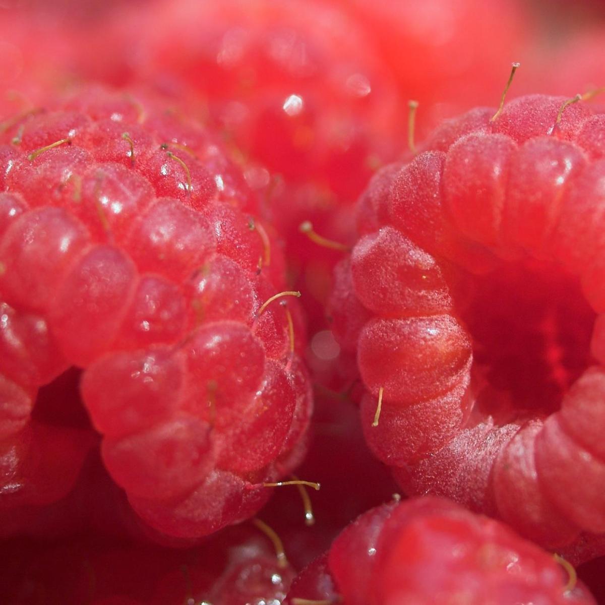 Cómo hacer frambuesas en almíbar con hielo pilé