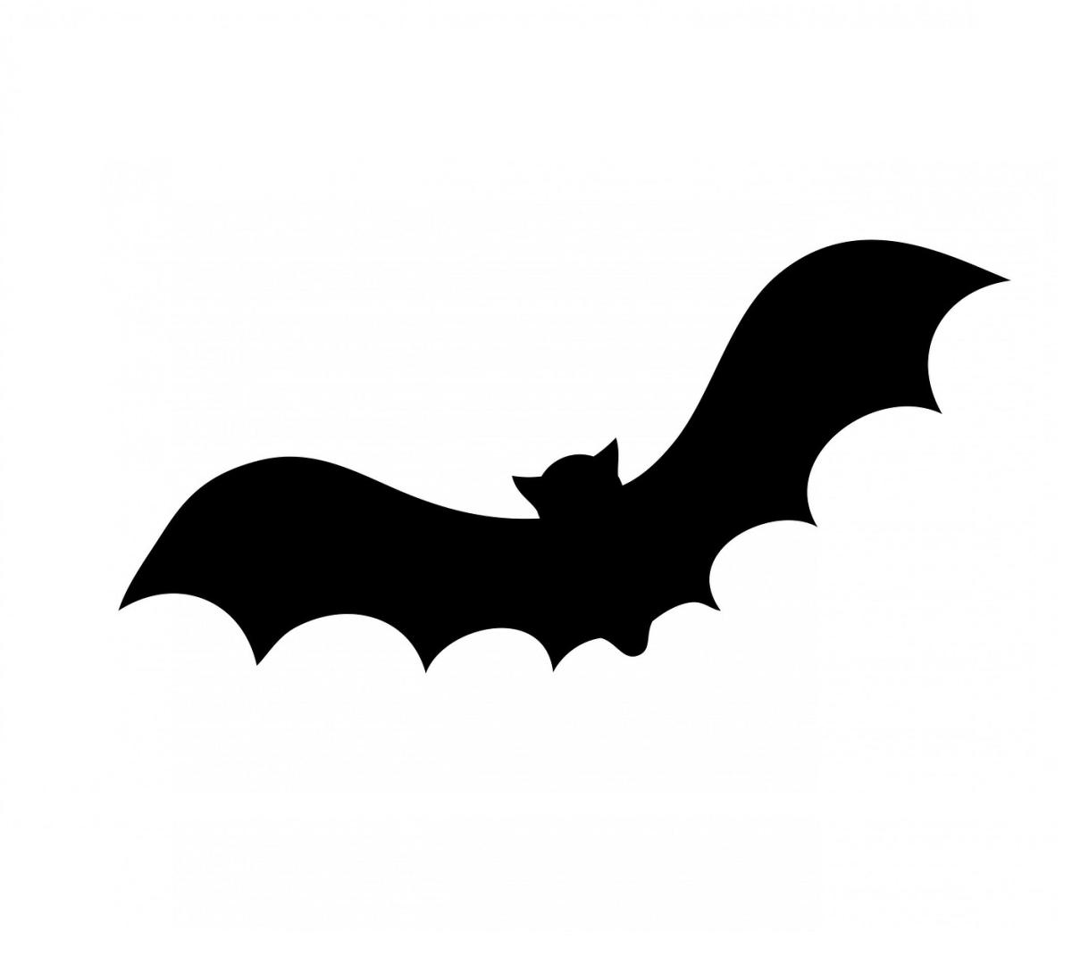 Cómo se dice murciégalo o murciélago