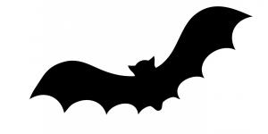 Cómo se dice murciégalo o murciélago