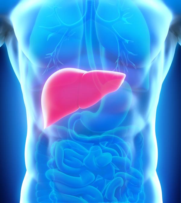 Por qué tengo las transaminasas altas