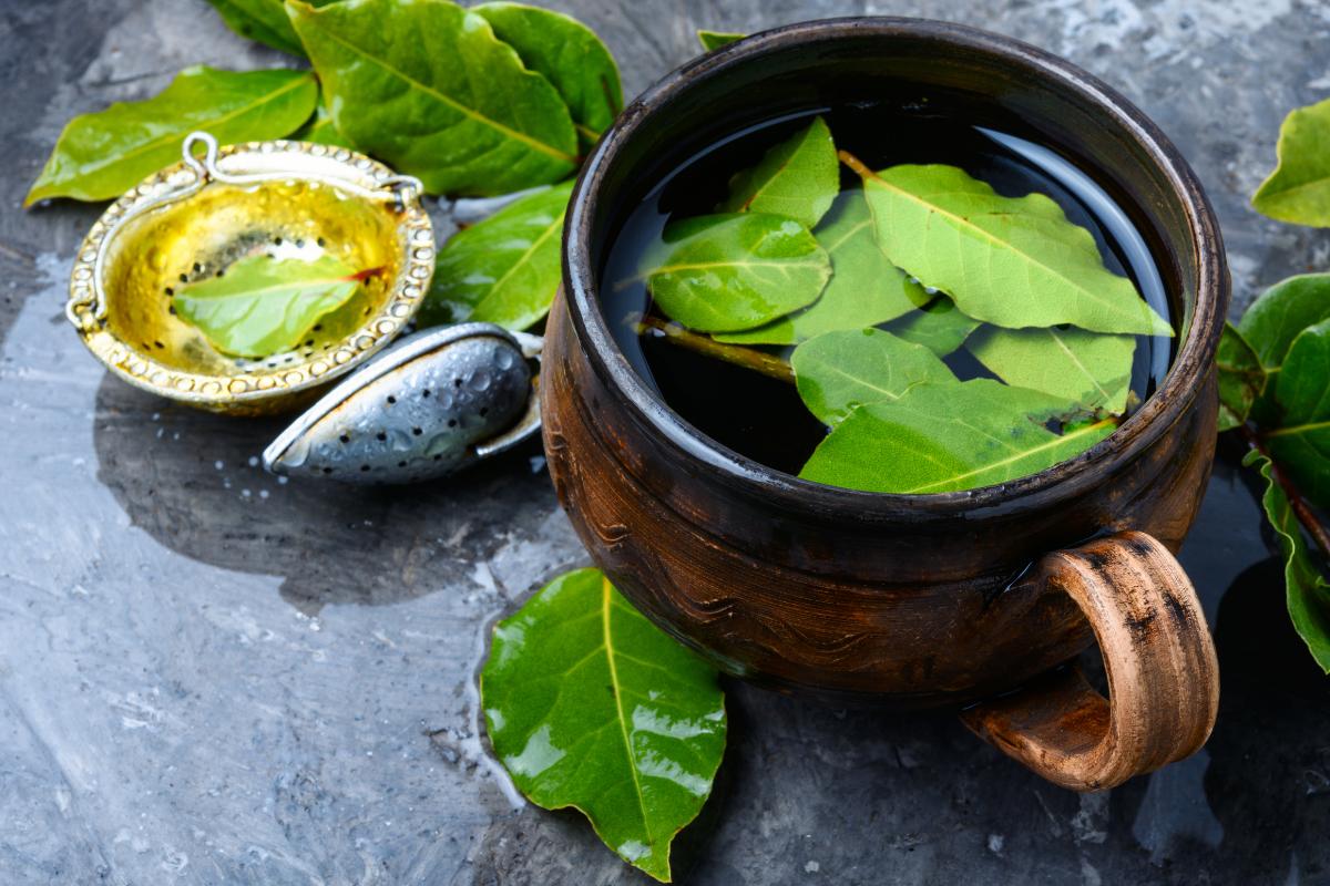 Para qué sirve el té de laurel en ayunas
