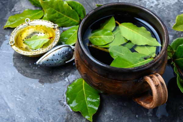 Para qué sirve el té de laurel en ayunas