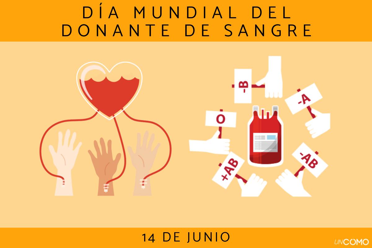 Día Mundial del Donante de Sangre: cuándo es, por qué se celebra e importancia