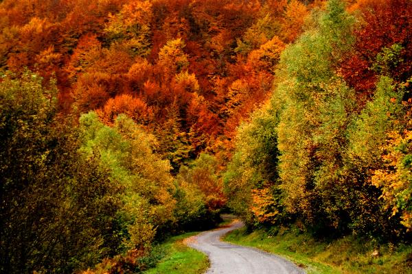 Dónde viajar en España en octubre: los mejores destinos - Galicia y las Rías Baixas