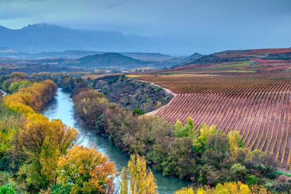Dónde viajar en España en octubre: los mejores destinos - La Rioja y la ruta del vino