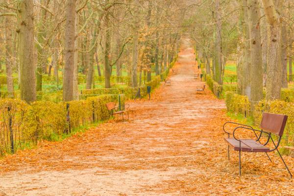Dónde viajar en España en octubre: los mejores destinos - Madrid y sus parques históricos