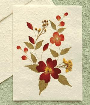 Cómo hacer flores prensadas en el microondas