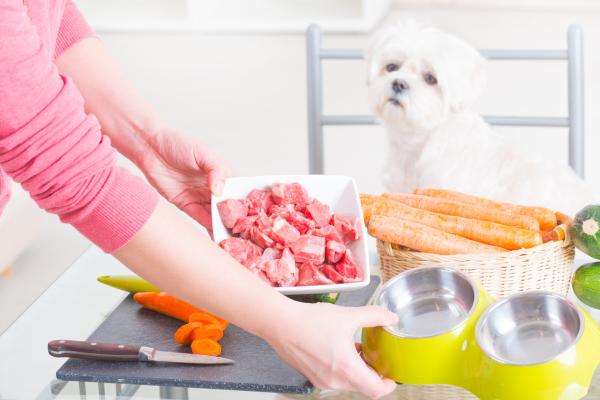 ¿Es buena la carne cruda para los perros? - Cómo le puedo dar carne cruda a mi perro