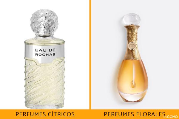 Tipos de perfumes según su familia olfativa y ejemplos - Perfumes florales