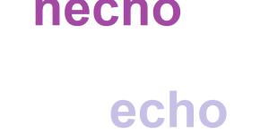 Cuál es la diferencia entre hecho y echo