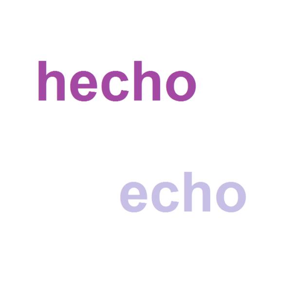 Cuál es la diferencia entre hecho y echo