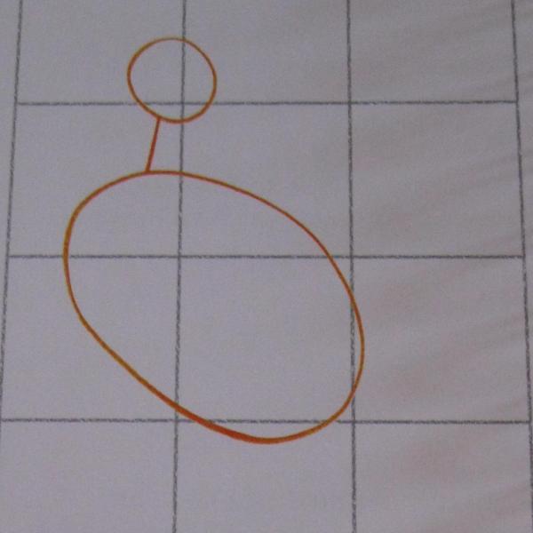 Cómo dibujar un Canguro - Paso 1