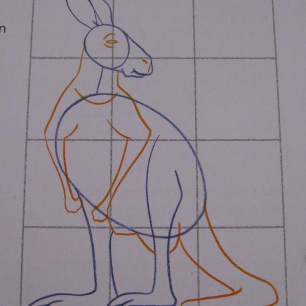 Cómo dibujar un Canguro - Paso 3