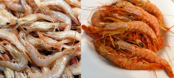 Cuál es la diferencia entre gamba y langostino - Paso 1