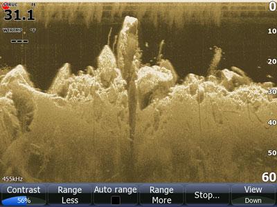 Cómo usar módulo Sonda Structure Scan Lowrance para Pescar